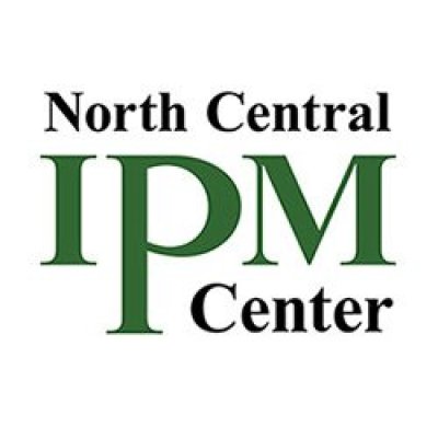 Webinar: Soybean Gall Midge: Spatial and Temporal Dynamics of a New Pest in Soybean