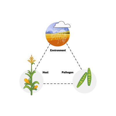 Biopesticides for Crop Disease Management