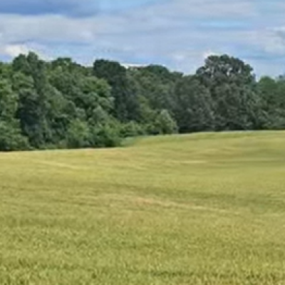 Crop Protection Network Recognizes its Land Grant University Partners