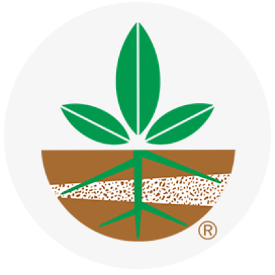 Stay Certified with CPN Quizzes