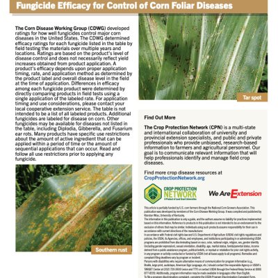 Planning Ahead: Use Research to Guide Fungicide Choices