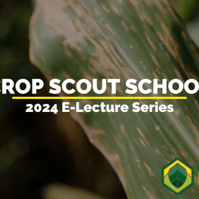 The Crop Protection Network Debuts 11 New Crop Scouting E-Lectures Tailored to a Range of Skills