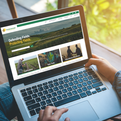 Exploring the New CPN Website & Tools