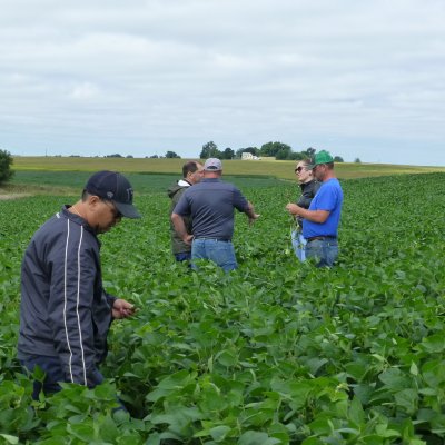 Free Training Resources from the CPN to Prepare Crop Scouts