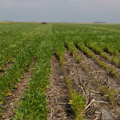 Soybean Cyst Nematode Map