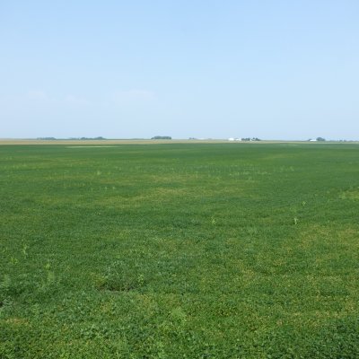 Join a GROW Farmer Forum