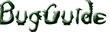 Bug Guide