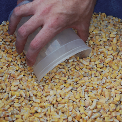Corn Grain and Silage Sampling and Mycotoxin Testing