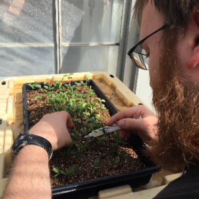 Loss of Effective Soybean Phytophthora Root and Stem Rot Resistance Genes