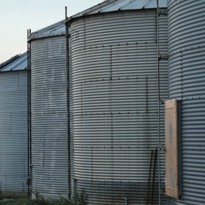 Storing Mycotoxin-Affected Corn Grain