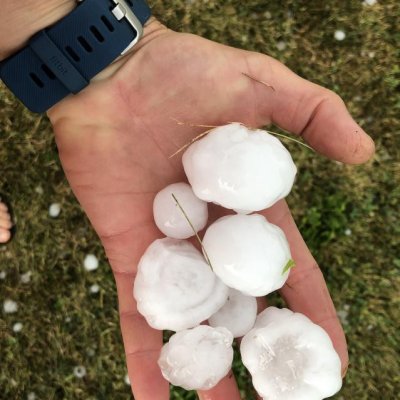 An Overview of Hail Injury and Fungicide Use on Corn