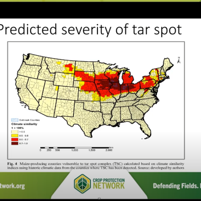 New Panel Discussion Explores Tar Spot Emerging in New States