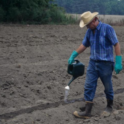 New Extension Updates on Seed Treatments and Bt Traits Create a Guide for Farmers