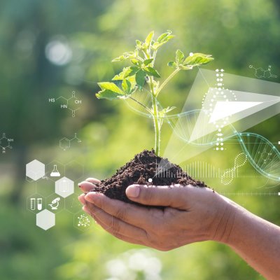 New Virtual Crop Scout School Webinars Available from CPN