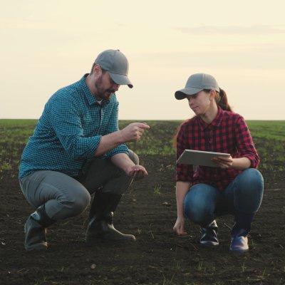 Virtual crop scouting school now available from CPN