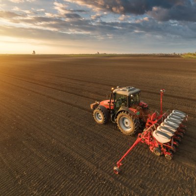 Smartphone Application to Forecast White Mold in Soybean Now Available to Growers