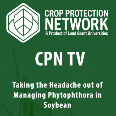 Taking the Headache out of Managing Phytophthora in Soybean
