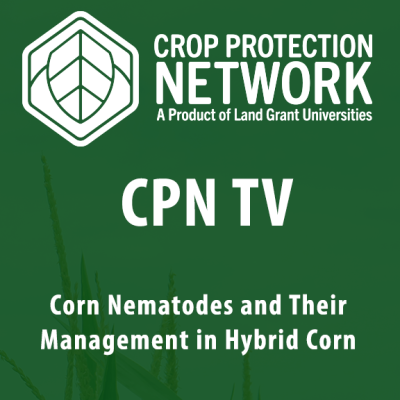 Corn Nematodes and their Management in Hybrid Corn