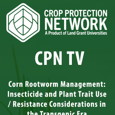 Corn Rootworm Management: Insecticide and Plant Trait Use/Resistance Considerations in the Transgenic Era