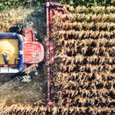 Mapping Cover Crop Biomass with Sensors