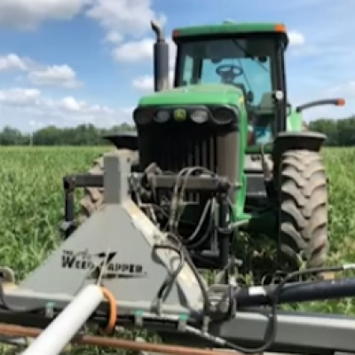 Electrocution as a Weed Control Tactic