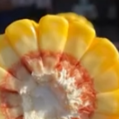 How Foliar Disease Control Increases Corn Yields and Kernel Weight