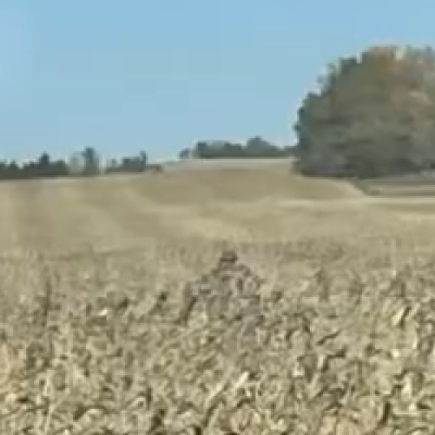 Preventing Fungicide Resistance: Understanding Label Rates and Application Timing