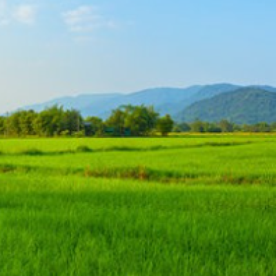 Fungicide Stewardship: Maximizing ROI Through Education