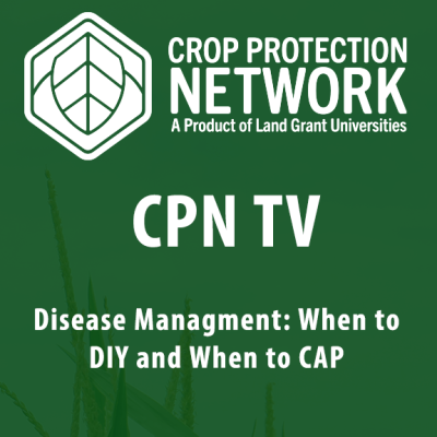 Disease Management: When to DIY and When to CAP
